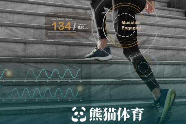  - 智慧体育解决方案提供商